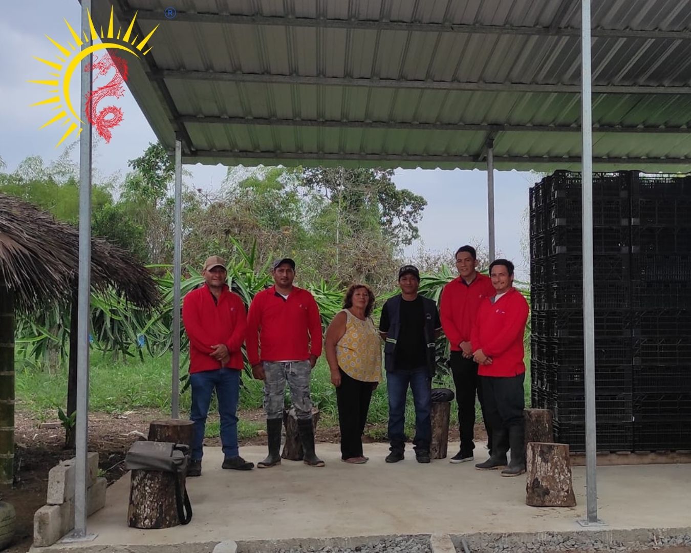 Gestión operativa Pitared Ecuador en finca